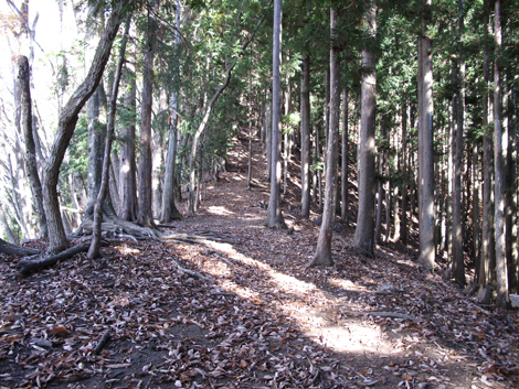 20151116hike (79)